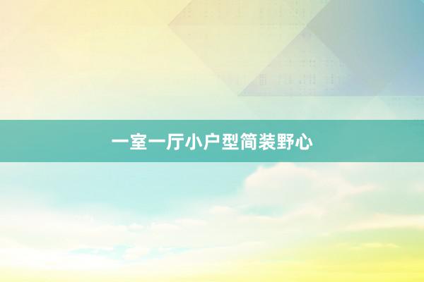 一室一厅小户型简装野心
