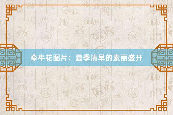 牵牛花图片：夏季清早的素丽盛开