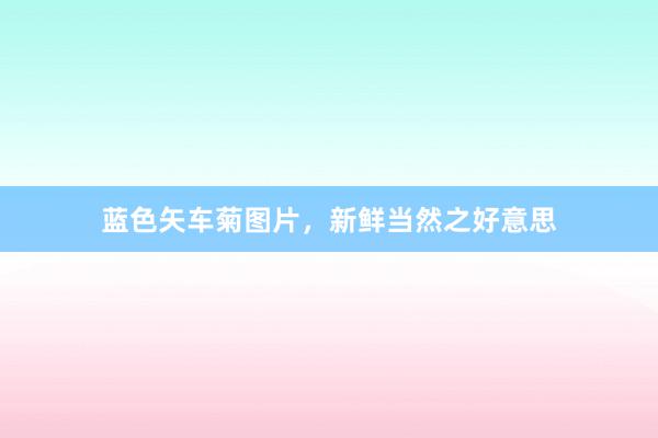 蓝色矢车菊图片，新鲜当然之好意思